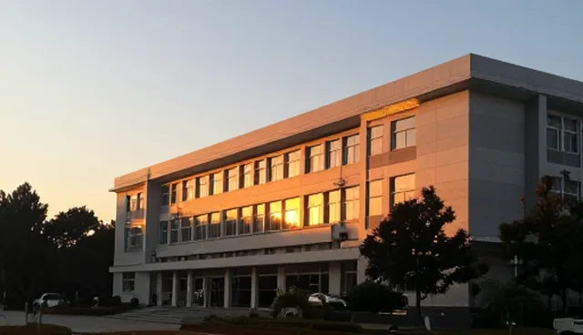 财税咨询适用条件的精准判断与运用建议