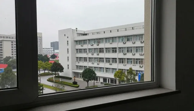 财税咨询中代理记账与自营记账的取舍分析